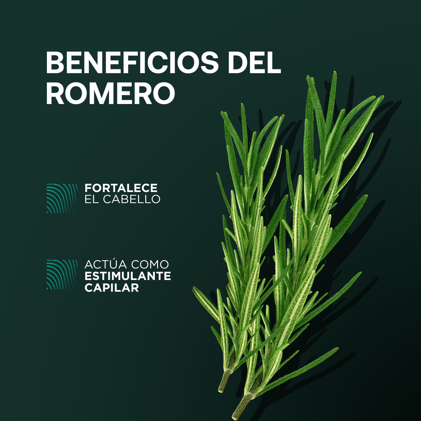 Shampoo Anticaída Romerox Tratamiento Cabello Y Barba