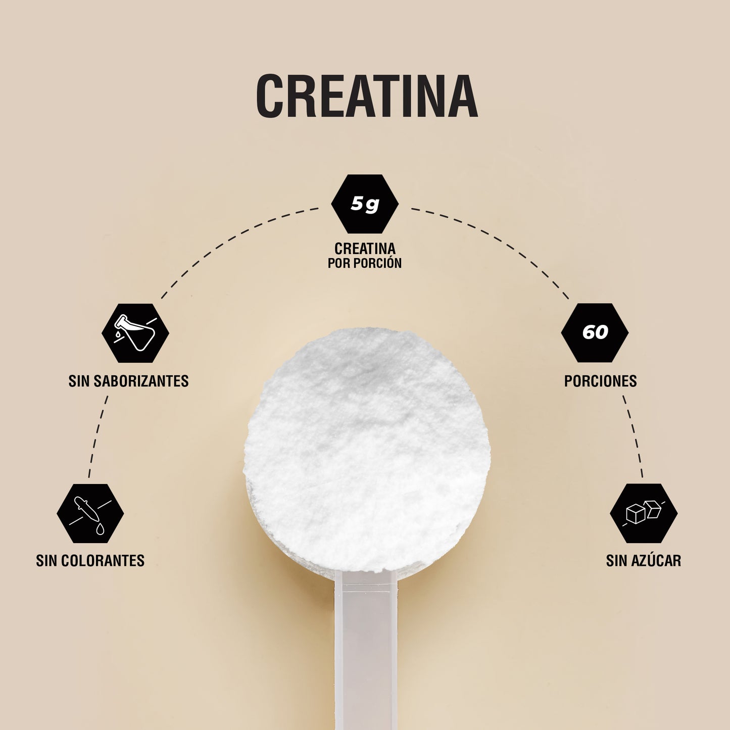PADN Creatina Monohidratada Polvo 300g