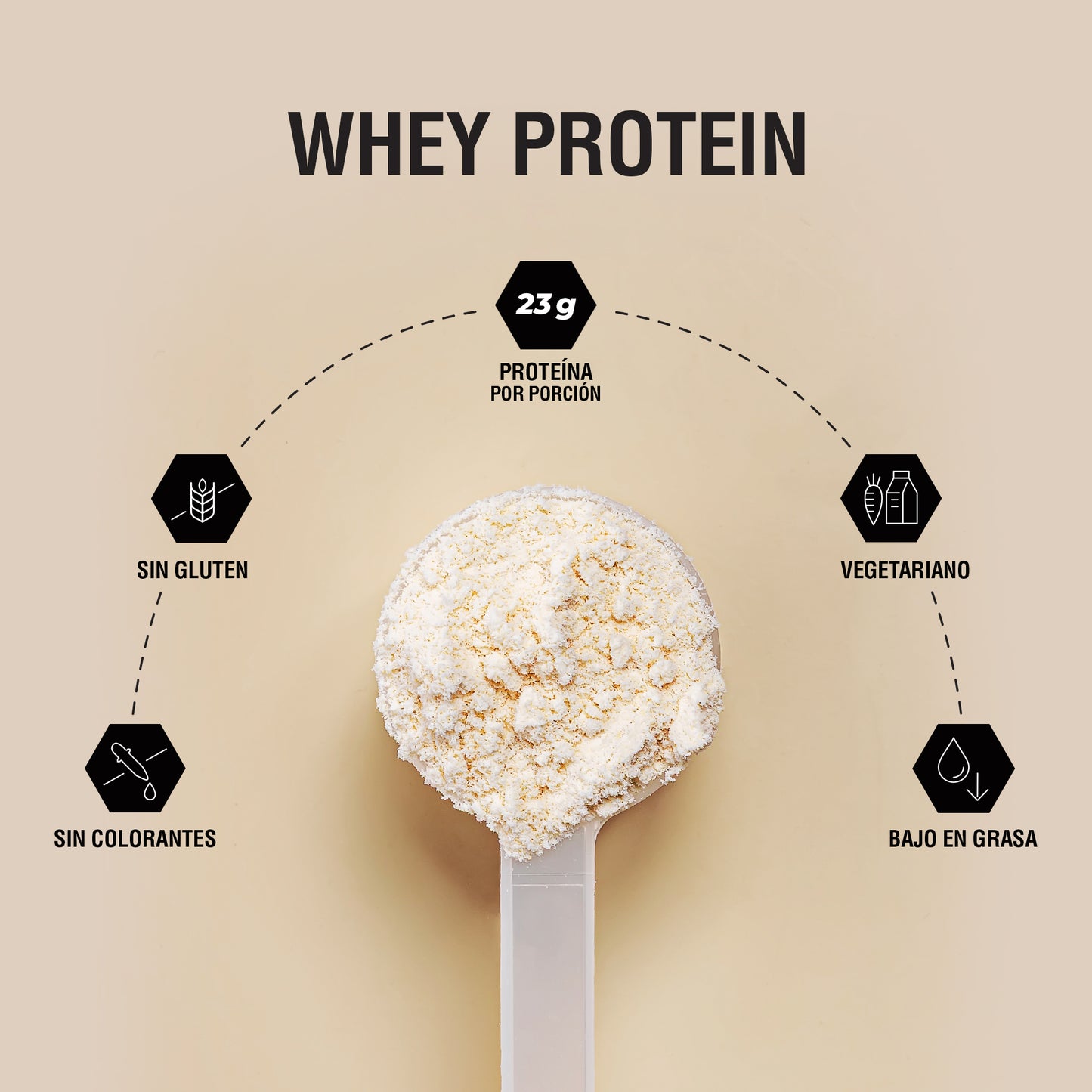 Proteína 100% Whey 450g Sabor Vainilla PADN Vainilla Francesa